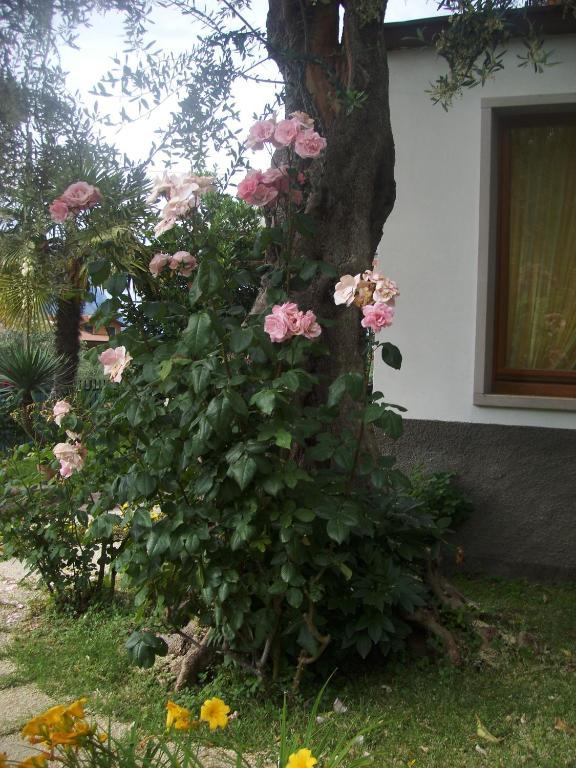 מלון מאלצ'סינה Garni Casa Rabagno מראה חיצוני תמונה